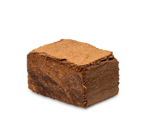 MazeWormCoconutBrick2000300dpi