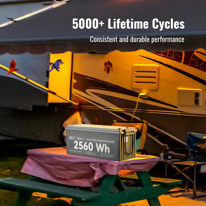 ALPHA | 24V 100Ah LiFePO4 Battery | Powerful 24V Lithium Battery for RVs, Trailers, Vans, Boats, Off-Grid | 5,000/4,000 Lifetime Cycles | Bluetooth and Internal Heat Technology