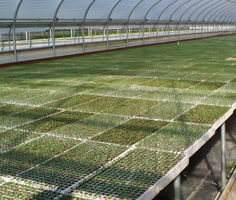 RSI Hydroponic Seeding Trays