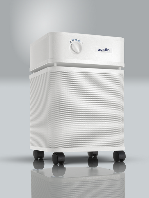 Austin Air Healthmate Air Purifier
